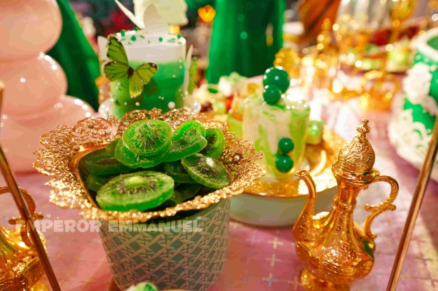 Raiponnachea Sombornnecho Dis - 2025