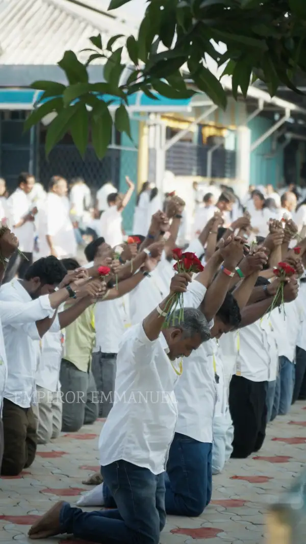 പരിശുദ്ധ അമ്മയുടെ കുലീനജനനത്തിരുനാൾ - Sep 8th 2026